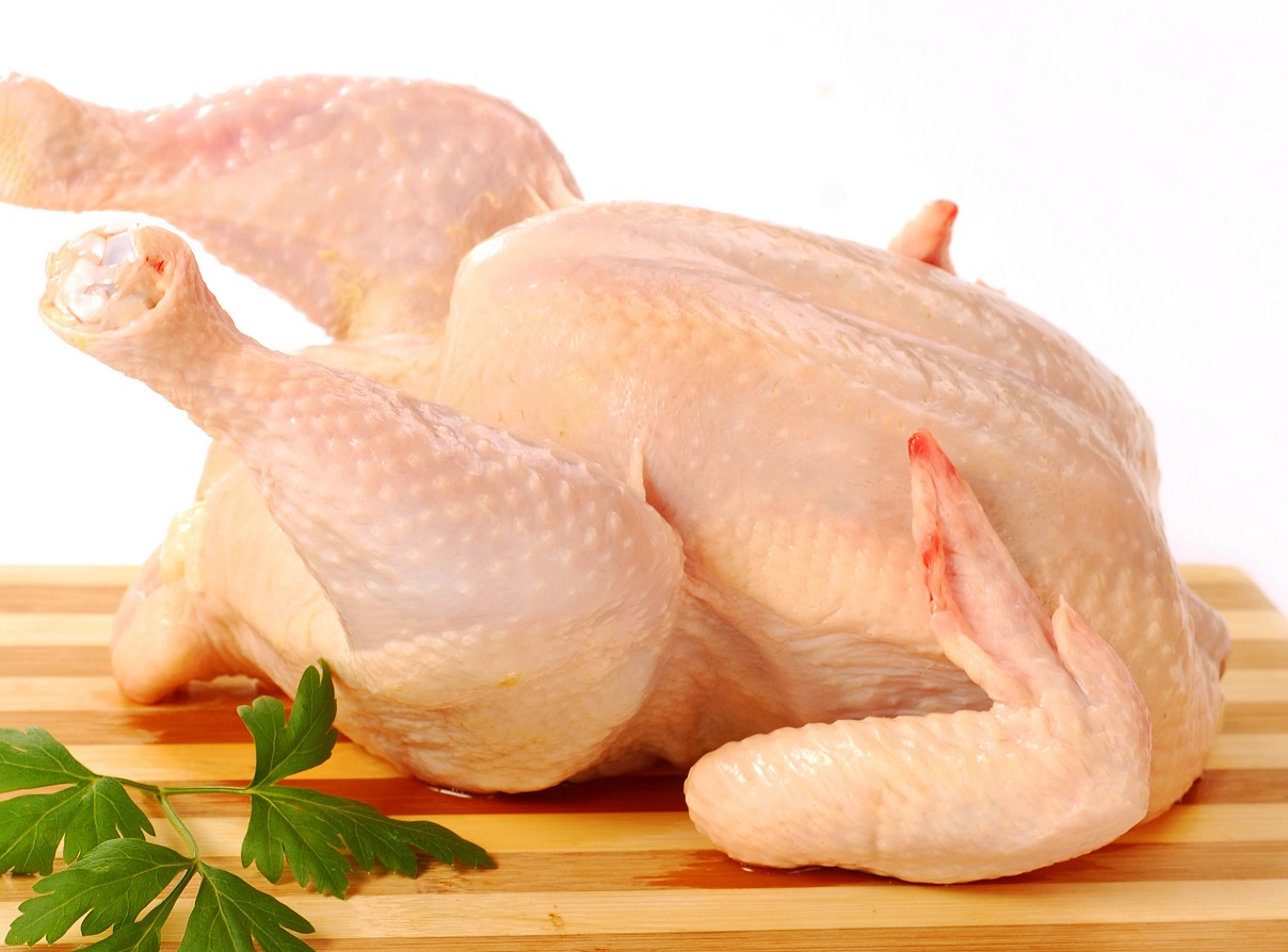 Thịt gà lôi có lợi cho sức khỏe