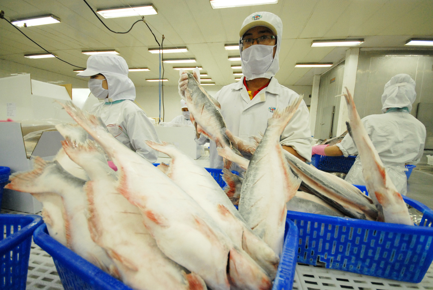 Động lực tăng trưởng mới cho sản phẩm thủy sản của Việt Nam